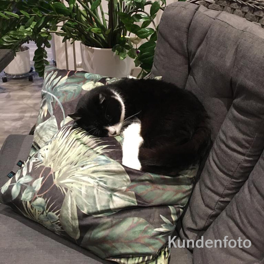 Samt Kissen "Black Forest" mit Katze, anthrazit, grün, Kundenfoto