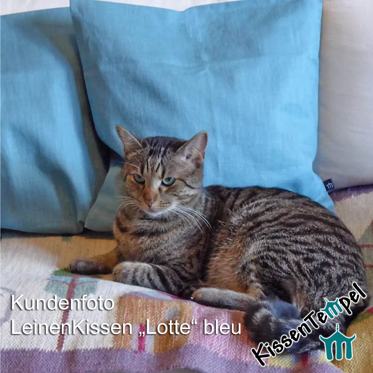 Kissen Lotte bleu Kundenfoto 1